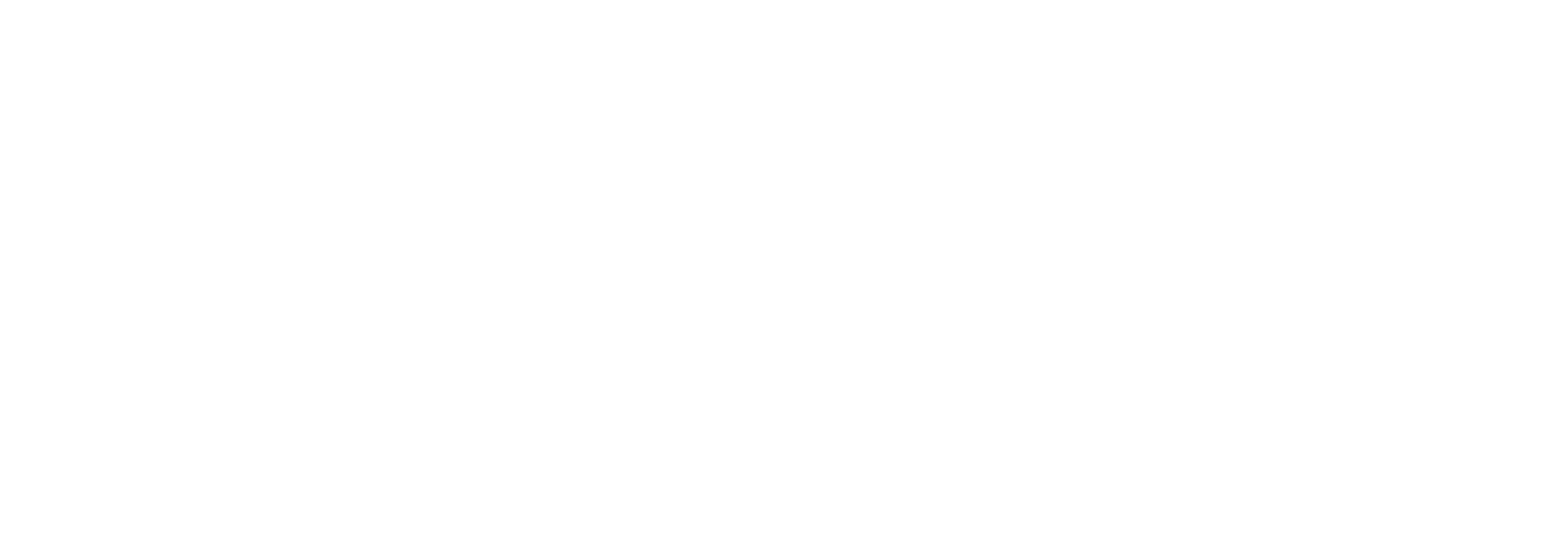 Teamwork Homecare logo WHITE